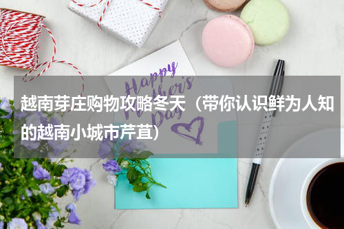 越南芽庄购物攻略冬天（带你认识鲜为人知的越南小城市芹苴）