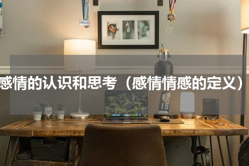 感情的认识和思考（感情情感的定义）