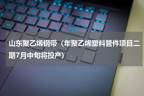 山东聚乙烯钢带（年聚乙烯塑料管件项目二期7月中旬将投产）
