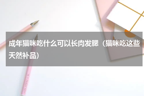 成年猫咪吃什么可以长肉发腮（猫咪吃这些天然补品）