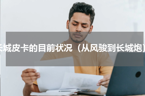 长城皮卡的目前状况（从风骏到长城炮）
