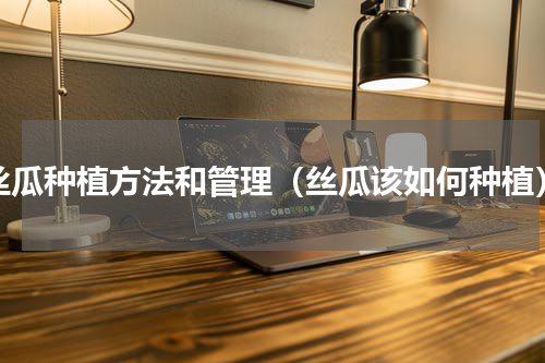 丝瓜种植方法和管理（丝瓜该如何种植）