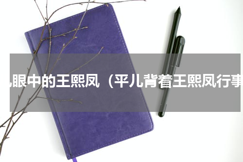 平儿眼中的王熙凤（平儿背着王熙凤行事）