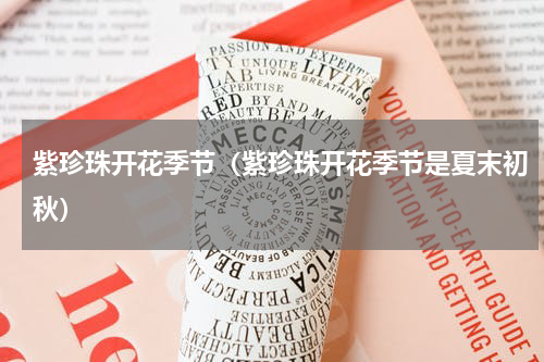 紫珍珠开花季节（紫珍珠开花季节是夏末初秋）