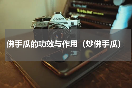 佛手瓜的功效与作用（炒佛手瓜）