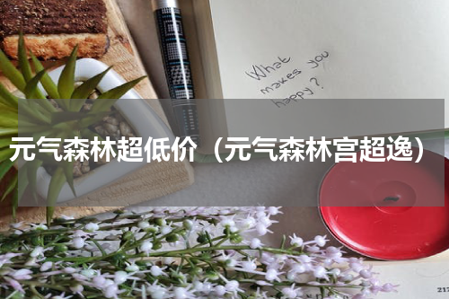元气森林超低价（元气森林宫超逸）