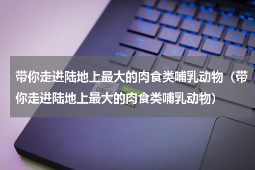 带你走进陆地上最大的肉食类哺乳动物（带你走进陆地上最大的肉食类哺乳动物）