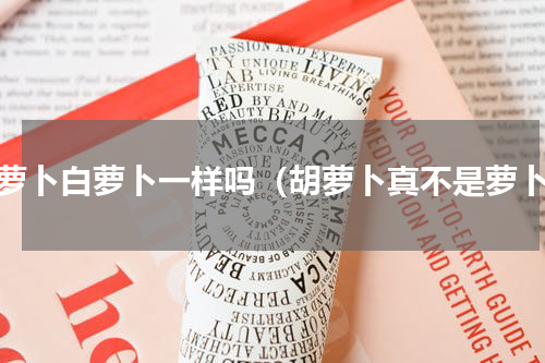 胡萝卜白萝卜一样吗（胡萝卜真不是萝卜）