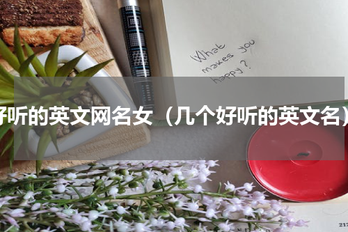 好听的英文网名女（几个好听的英文名）