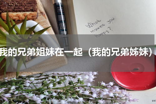 我的兄弟姐妹在一起（我的兄弟姊妹）