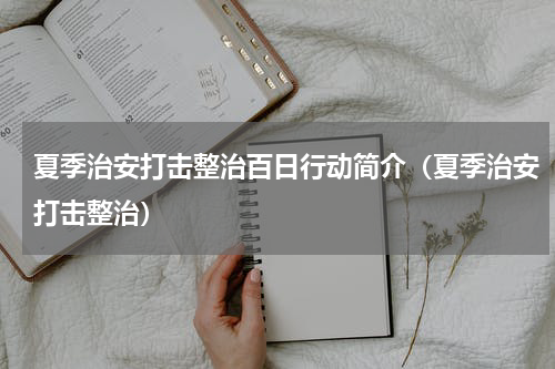 夏季治安打击整治百日行动简介（夏季治安打击整治）