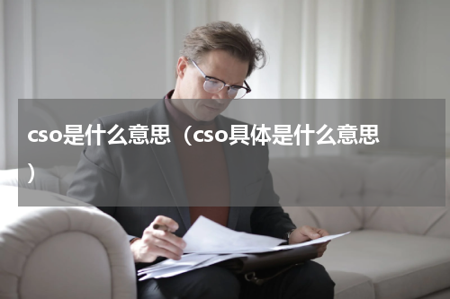 cso是什么意思（cso具体是什么意思）