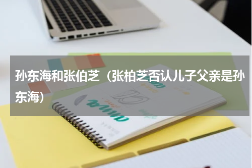 孙东海和张伯芝（张柏芝否认儿子父亲是孙东海）