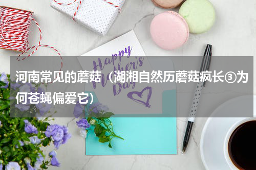 河南常见的蘑菇（湖湘自然历蘑菇疯长③为何苍蝇偏爱它）