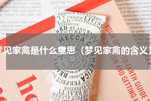 梦见家禽是什么意思（梦见家禽的含义）