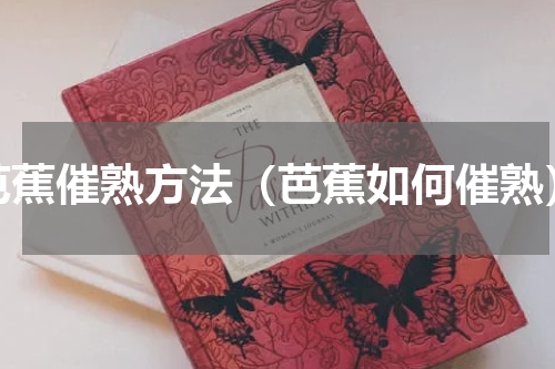 芭蕉催熟方法（芭蕉如何催熟）