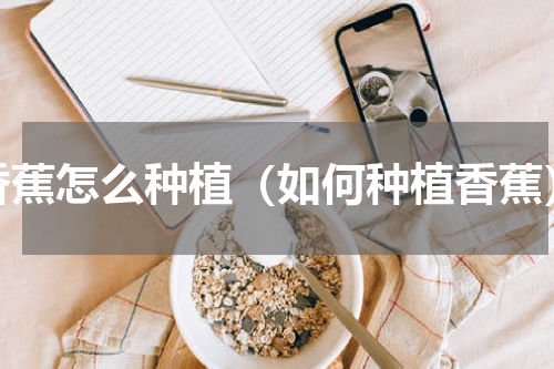 香蕉怎么种植（如何种植香蕉）