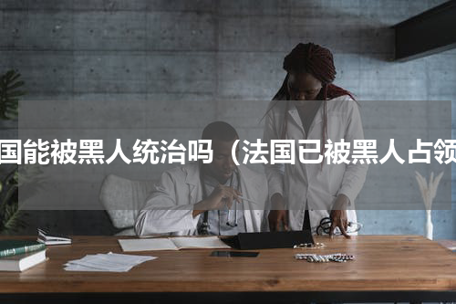 法国能被黑人统治吗（法国已被黑人占领）