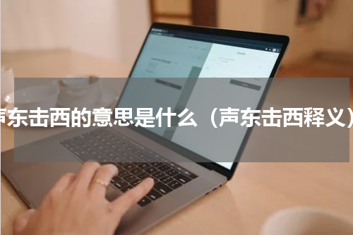 声东击西的意思是什么（声东击西释义）