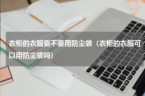 衣柜的衣服要不要用防尘袋（衣柜的衣服可以用防尘袋吗）