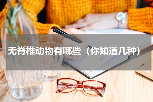 无脊椎动物有哪些（你知道几种）