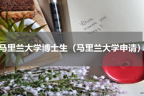 马里兰大学博士生（马里兰大学申请）