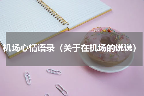 机场心情语录（关于在机场的说说）