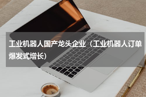 工业机器人国产龙头企业（工业机器人订单爆发式增长）