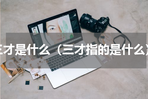 三才是什么（三才指的是什么）