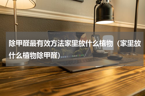 除甲醛最有效方法家里放什么植物（家里放什么植物除甲醛）