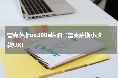 雷克萨斯ux300e燃油（雷克萨斯小改款UX）
