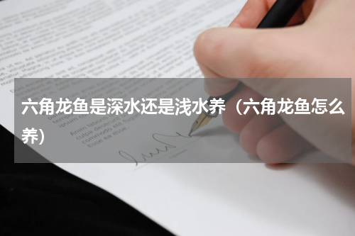 六角龙鱼是深水还是浅水养（六角龙鱼怎么养）