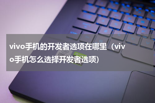vivo手机的开发者选项在哪里（vivo手机怎么选择开发者选项）