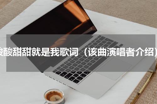 酸酸甜甜就是我歌词（该曲演唱者介绍）