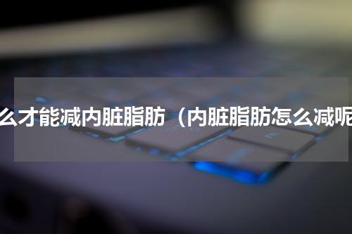 怎么才能减内脏脂肪（内脏脂肪怎么减呢）