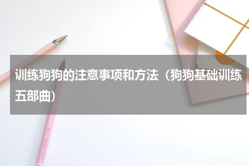 训练狗狗的注意事项和方法（狗狗基础训练五部曲）