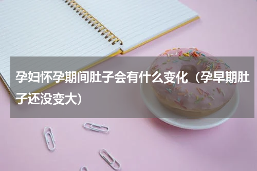 孕妇怀孕期间肚子会有什么变化（孕早期肚子还没变大）