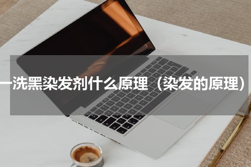 一洗黑染发剂什么原理（染发的原理）