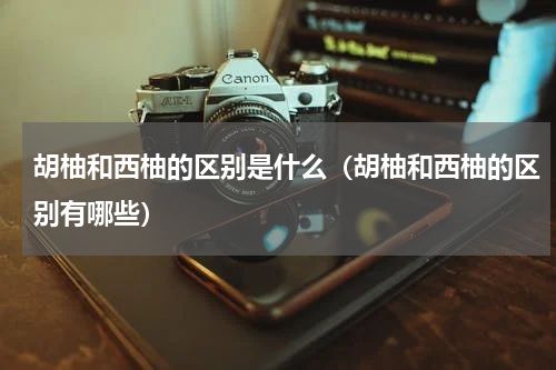 胡柚和西柚的区别是什么（胡柚和西柚的区别有哪些）