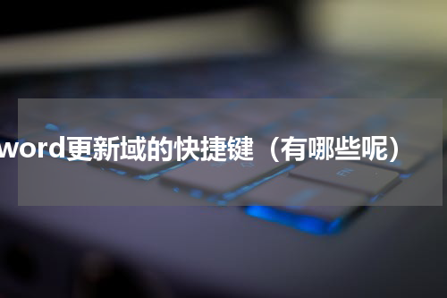 word更新域的快捷键（有哪些呢）