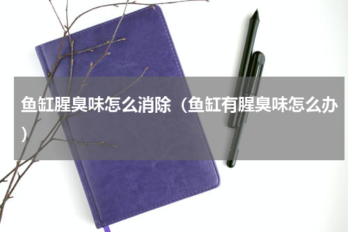 鱼缸腥臭味怎么消除（鱼缸有腥臭味怎么办）