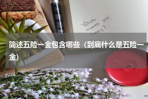 简述五险一金包含哪些（到底什么是五险一金）