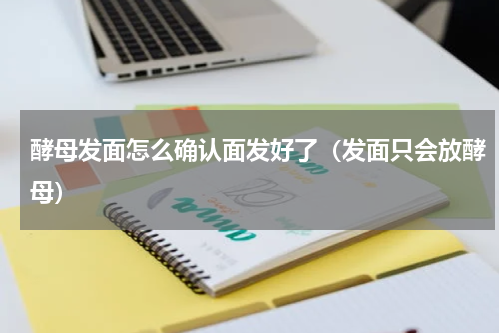 酵母发面怎么确认面发好了（发面只会放酵母）