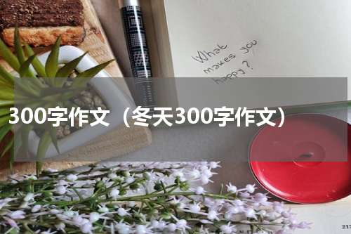 300字作文（冬天300字作文）