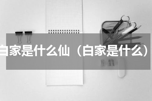 白家是什么仙（白家是什么）