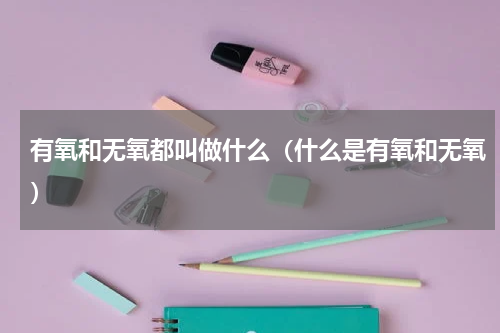 有氧和无氧都叫做什么（什么是有氧和无氧）