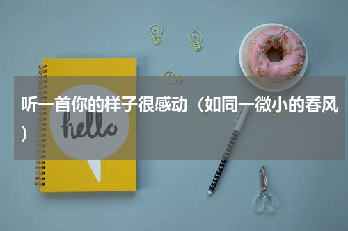 听一首你的样子很感动（如同一微小的春风）