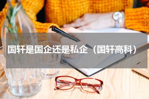 国轩是国企还是私企（国轩高科）