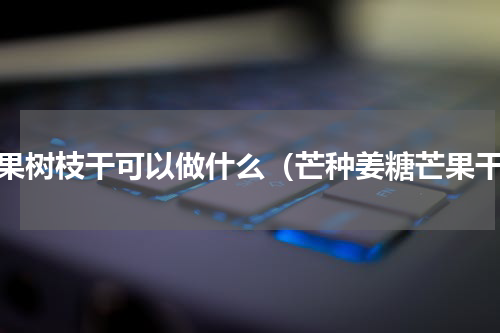 芒果树枝干可以做什么（芒种姜糖芒果干）