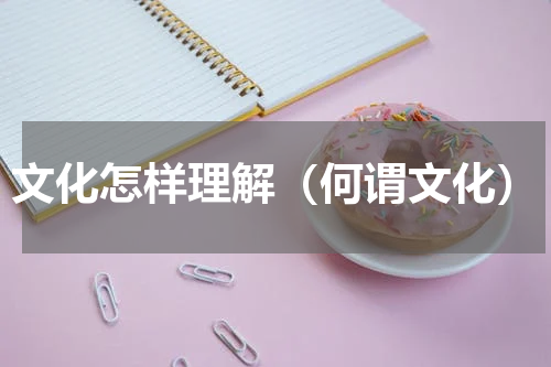 文化怎样理解（何谓文化）
